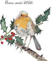<h1>Bonne ann&eacute;e 2026</h1>
